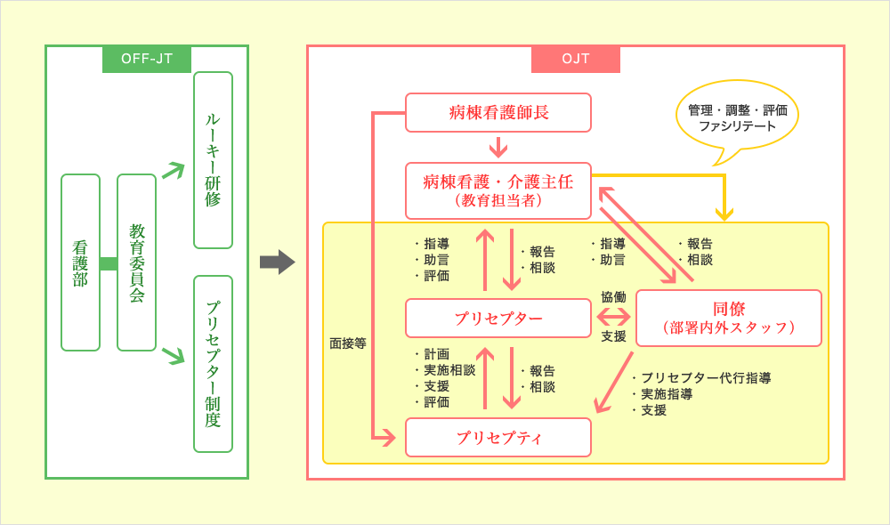 ルーキー教育体制